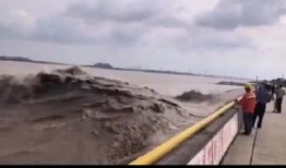 杭州近期爆料新闻视频,揭秘XX事件背后真相