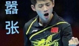 张骋宇网红爆料视频,揭秘娱乐圈不为人知的幕后故事